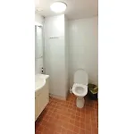 Kotimaailma Woody 3 *